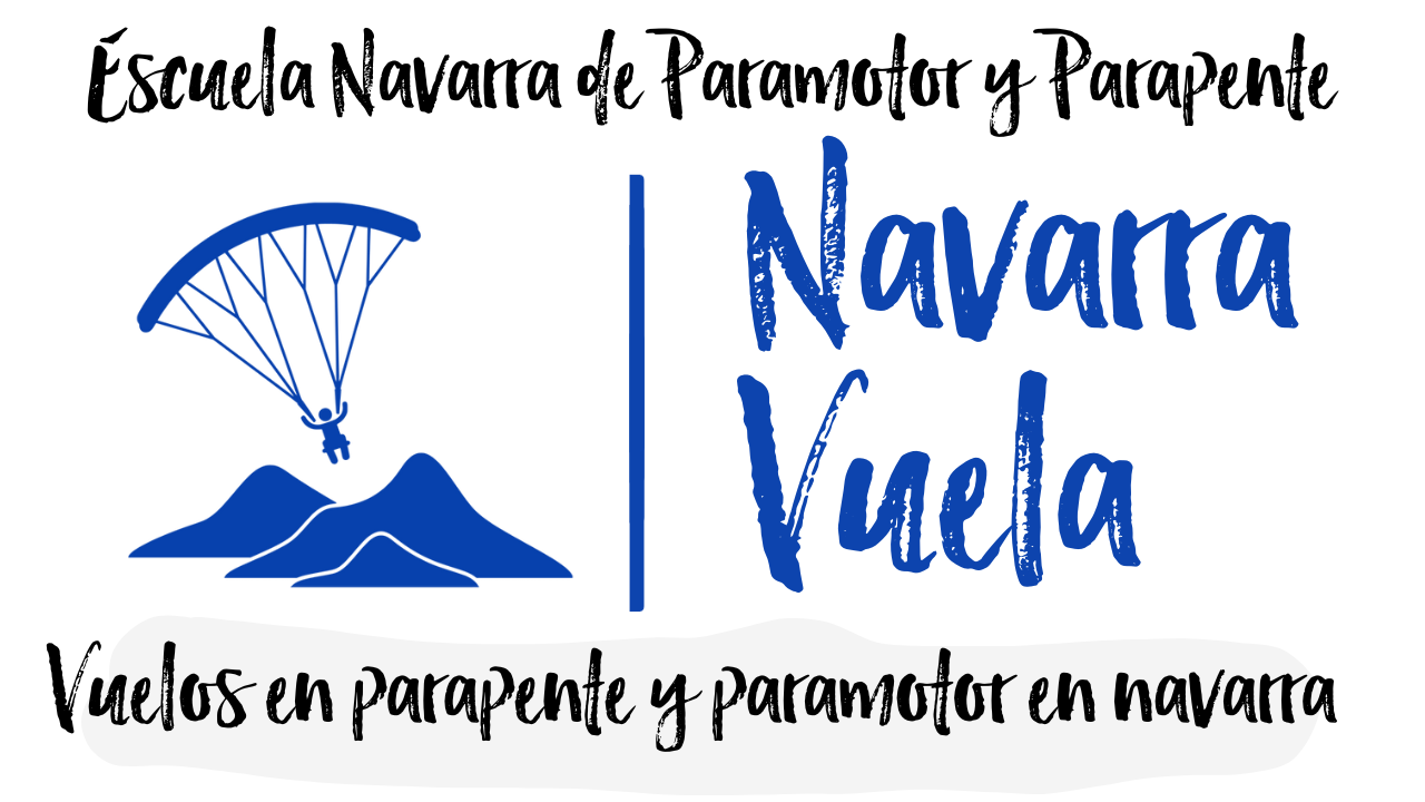 Logotipo Navarra Vuela img